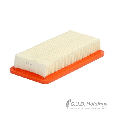 Air Filter (AG1135)