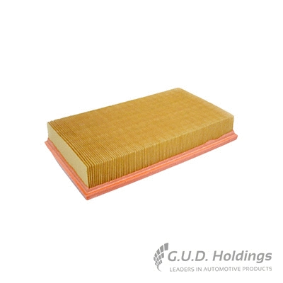Air Filter (AG1452)