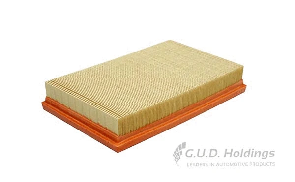 Air Filter (AG1711)