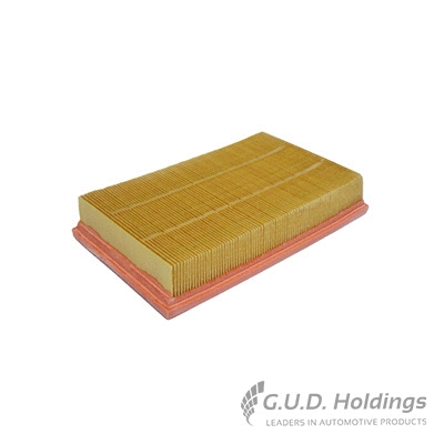 Air Filter (AG1456)