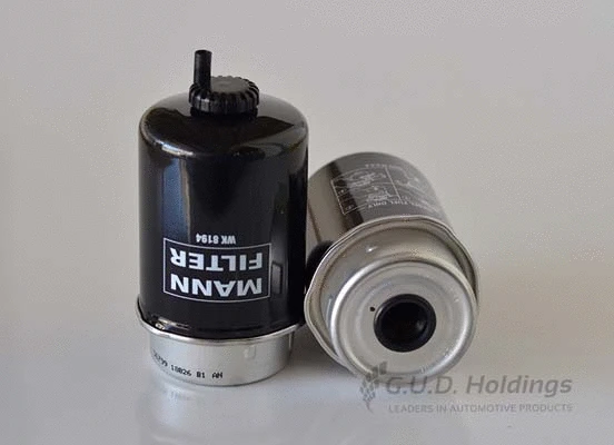 Fuel Filter (Z666)