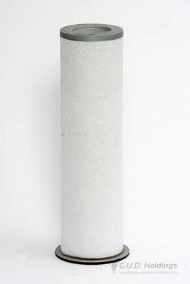 Secondary Air Filter (ADG620)