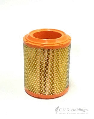 Air Filter (AG1703)