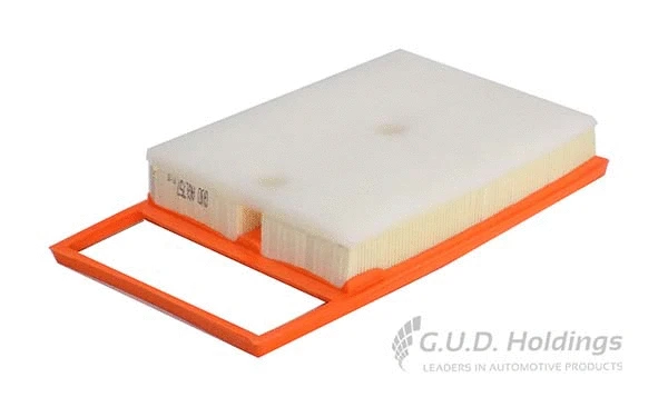 Air Filter (AG1757)