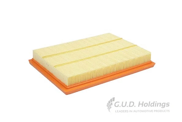 Air Filter (AG1537)