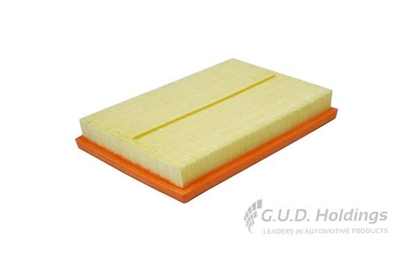 Air Filter (AG1624)
