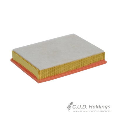 Air Filter (AG1096)