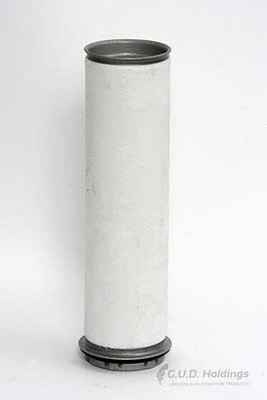 Secondary Air Filter (ADG788)
