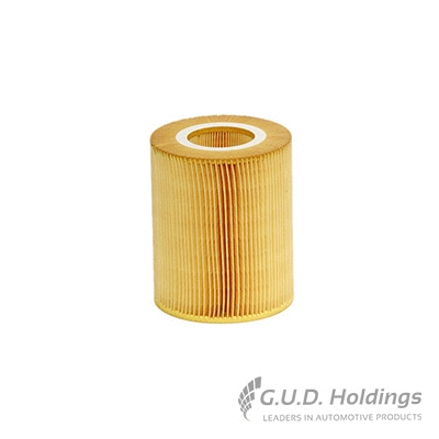 Air Filter (AG1019)