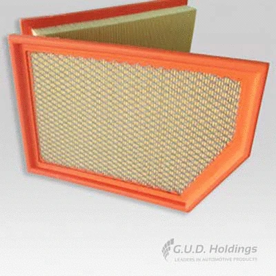 Air Filter (AG1791)