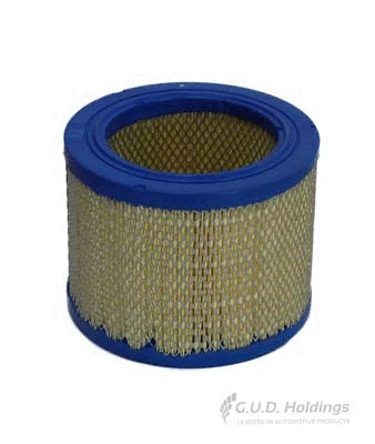 Air Filter (AG1817)