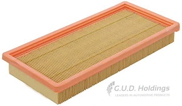 Air Filter (AG1716)
