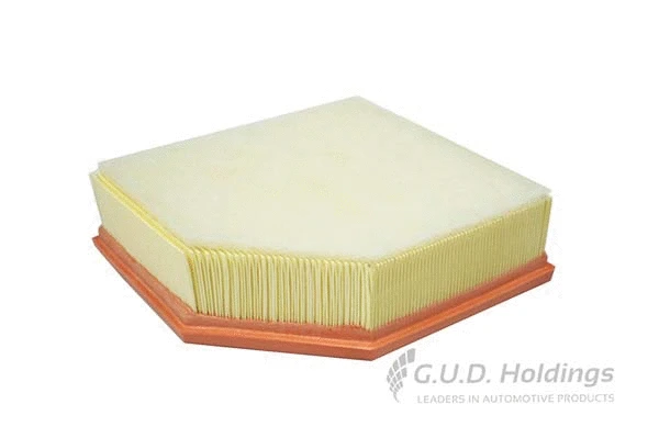 Air Filter (AG1662)