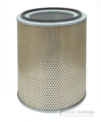 Air Filter (ADG1598)