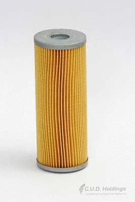 Oil Filter (G1029)