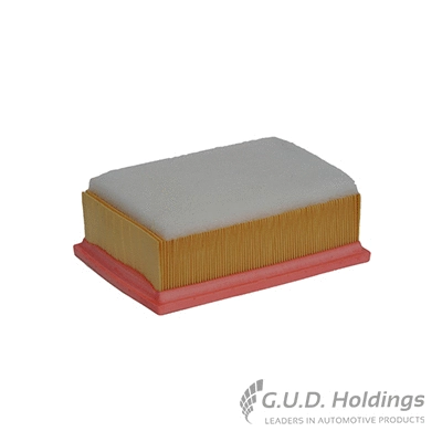 Air Filter (AG1141)