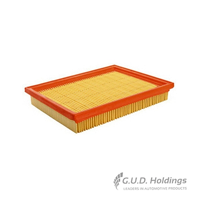 Air Filter (AG1797)
