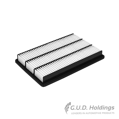 Air Filter (AG1138)