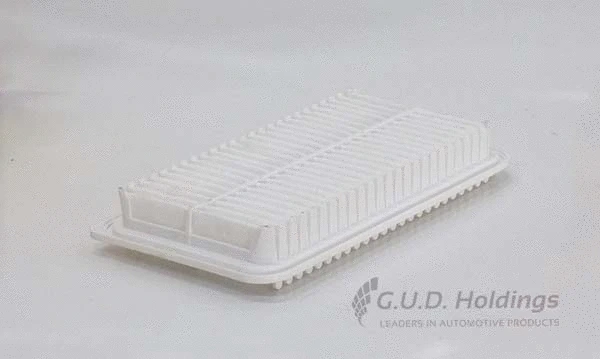Air Filter (AG1679)