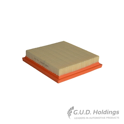 Air Filter (AG1207)