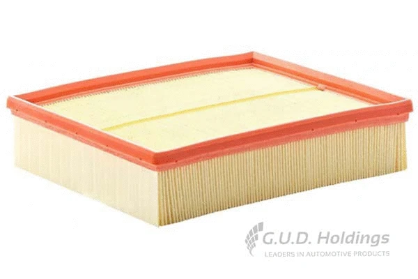 Air Filter (AG1831)