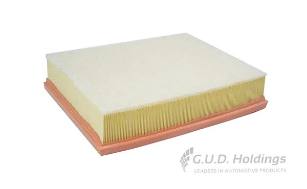 Air Filter (AG1580)