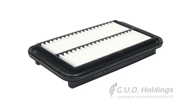 Air Filter (AG1666)