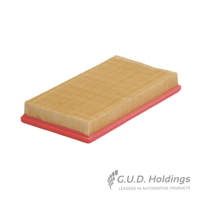 Air Filter (AG1389)