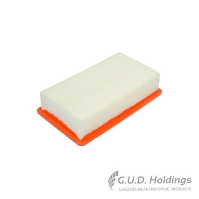 Air Filter (AG1284)