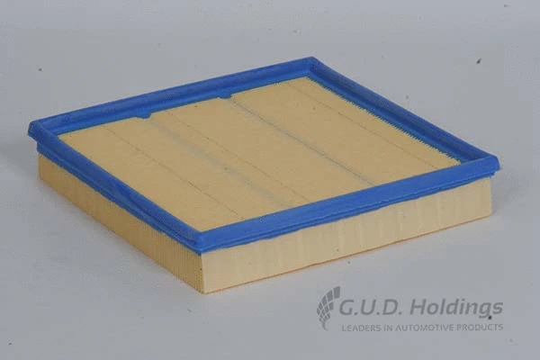 Air Filter (AG930)