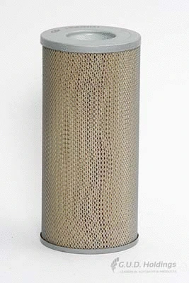 Air Filter (ADG881)