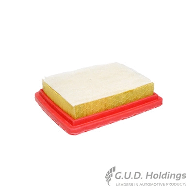Air Filter (AG1462)