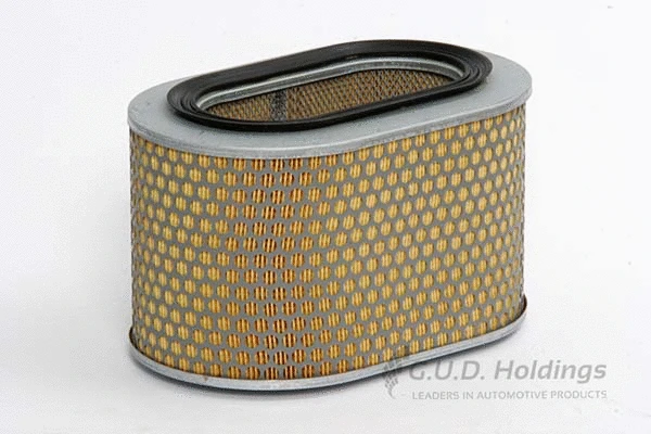 Air Filter (ADG978)