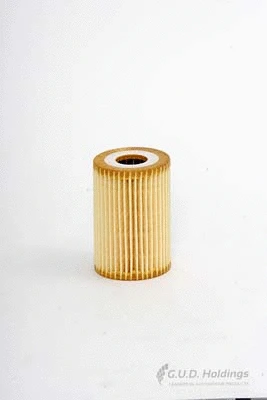 Oil Filter (M17)