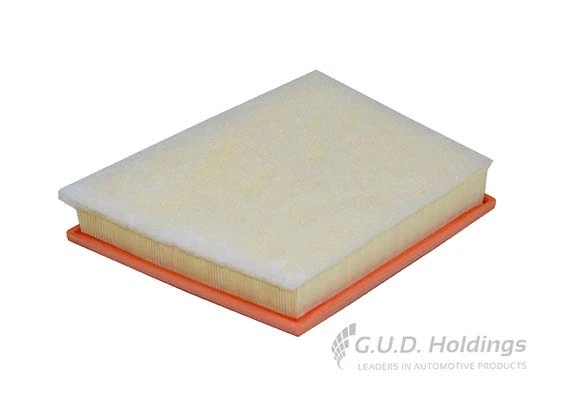 Air Filter (AG1729)