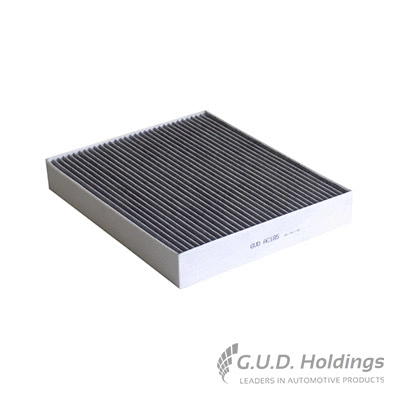 Filter, cabin air (AC185)