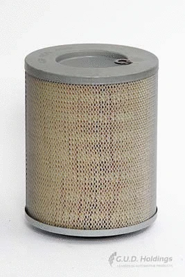 Air Filter (ADG458)