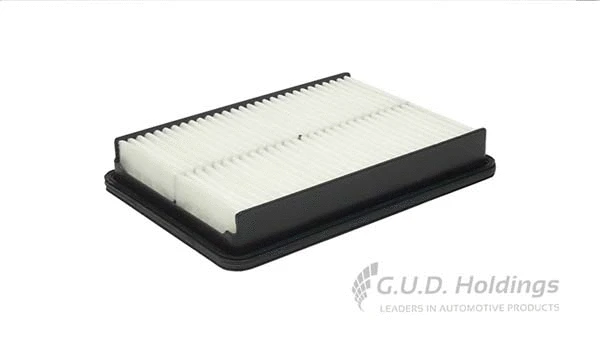 Air Filter (AG1546)