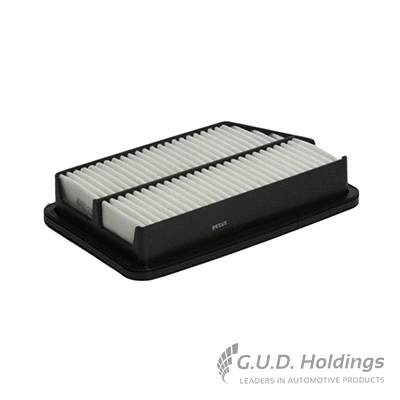 Air Filter (AG1013)