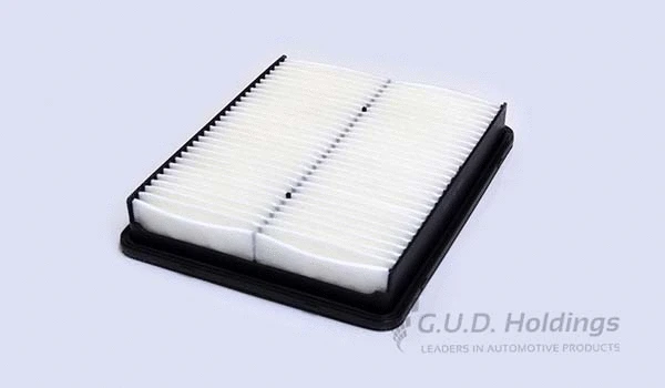 Air Filter (AG1528)