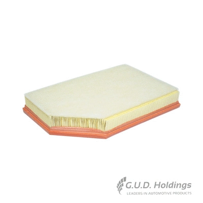 Air Filter (AG1424)