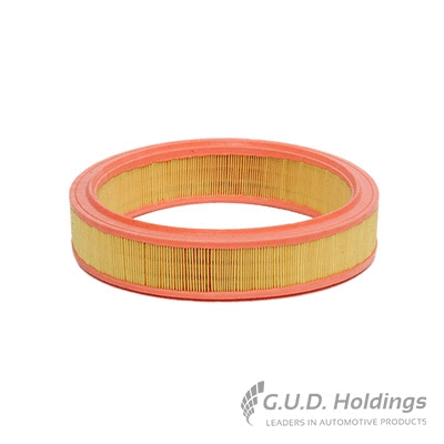 Air Filter (AG1204)