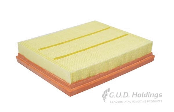 Air Filter (AG1563)