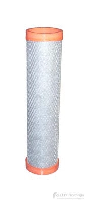Secondary Air Filter (ADG1619R)