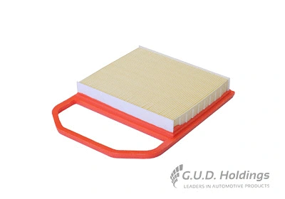 Air Filter (AG1891)