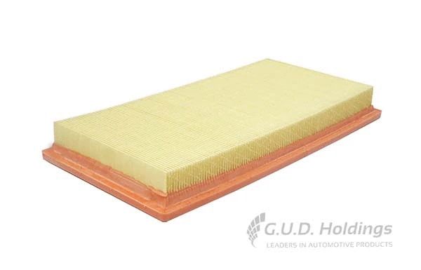 Air Filter (AG1657)