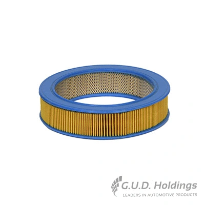 Air Filter (AG380)