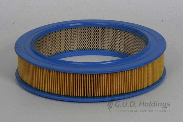 Air Filter (AG822)