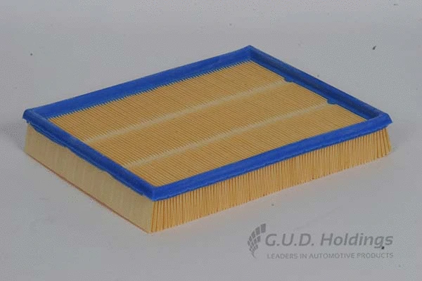 Air Filter (AG821)