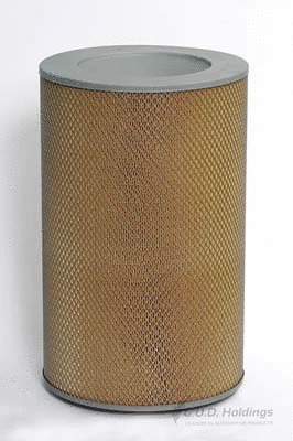 Air Filter (ADG966)